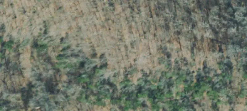 Land or Vacant Lot