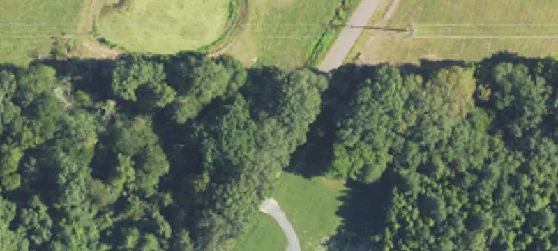 Six-House Poultry and Cattle Farm