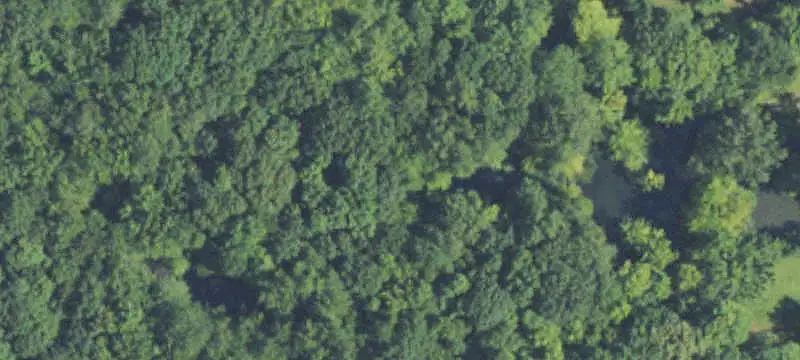 Land / Acreage