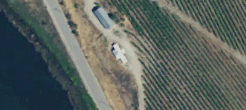 Vineyard With Operations Shop