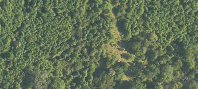 Gently Rolling Hunting Land