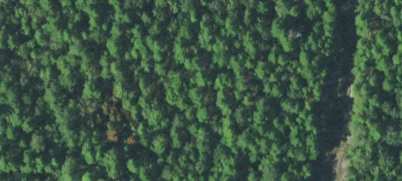 Vacant Land