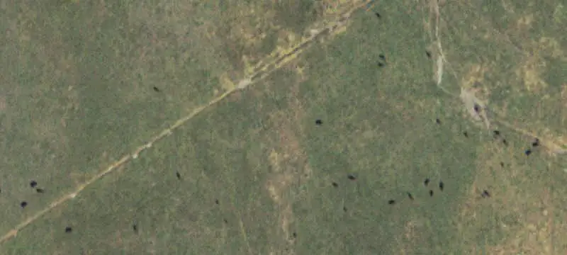 Irrigated Ranch with Four Homes
