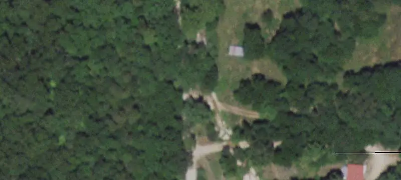 Wooded Hunting Land