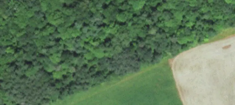 Hunting Land with Pond