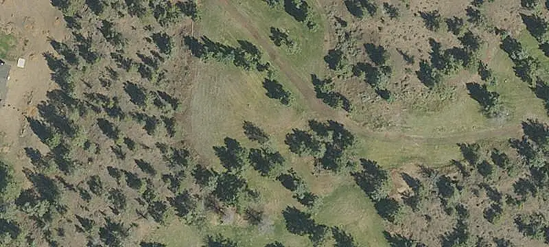Horse Property With Three Homes