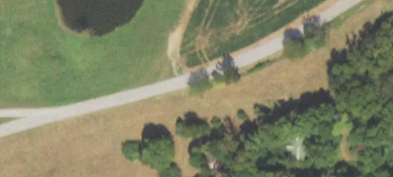 Agricultural Farm with Hunting