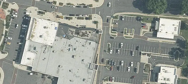 Moe's Franchise Restaurant Business
