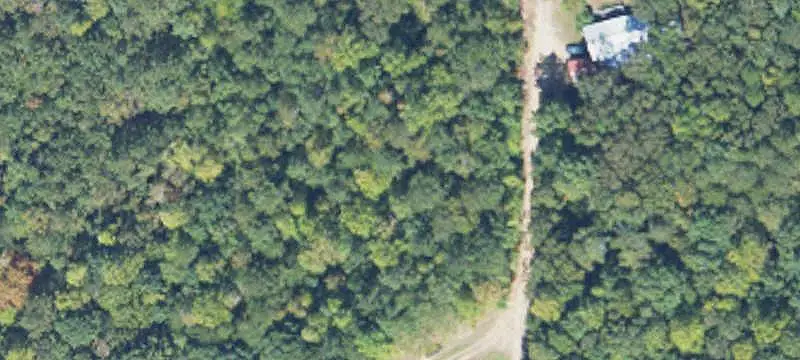 Wooded Hunting Land with Stream