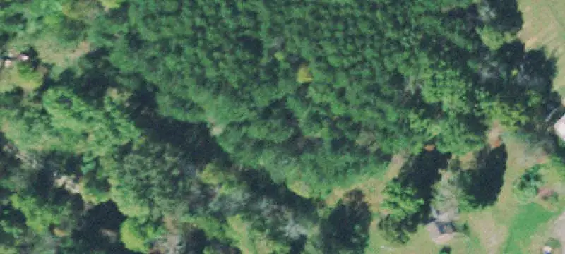 2571 Bellview Road, Pikeville, TN 37367
