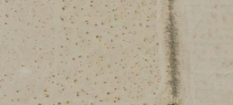 Leveled Agricultural Land