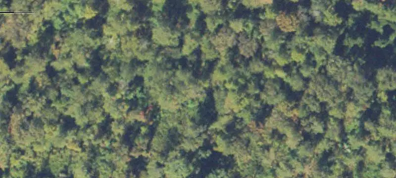 Waterfront Land with Creek