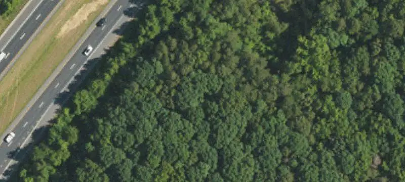 Land Parcel