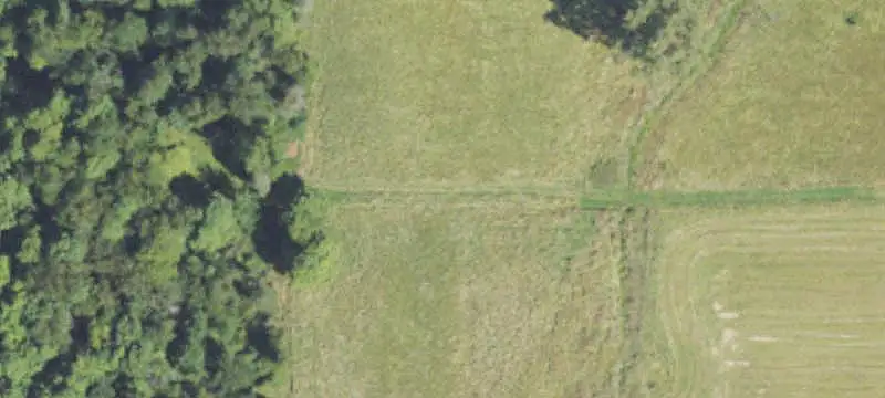 Agricultural Farmland