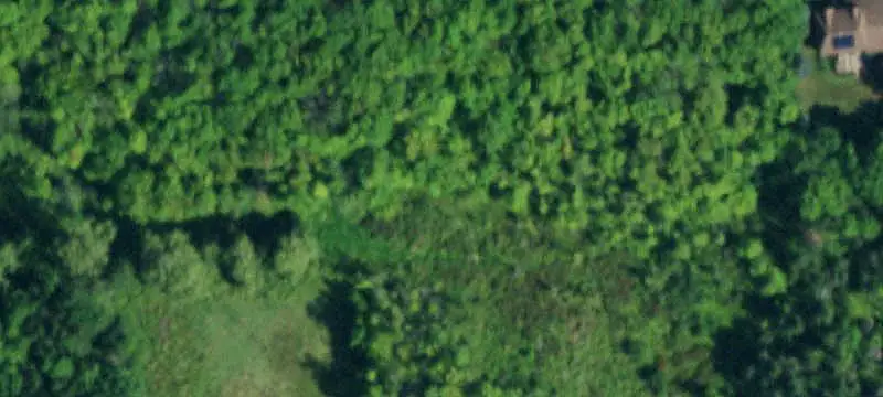 Wooded 18-Acre Land Parcel