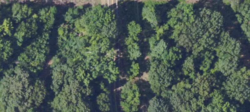 Commercial Land