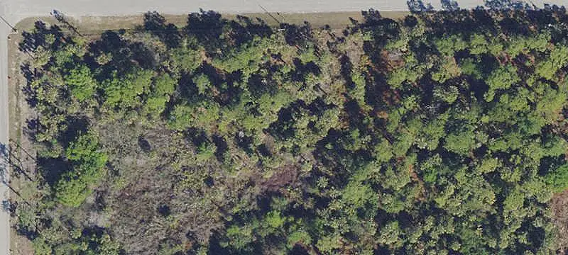 Lots/Land