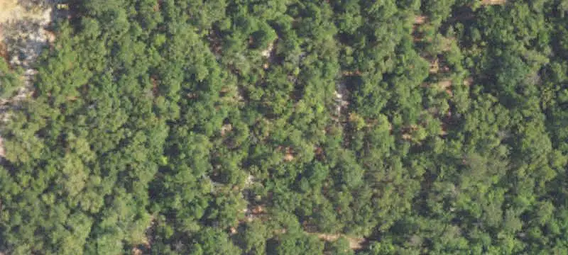 8190 Dixon Road, Bay Minette, AL 36507