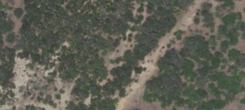 South Texas Ranch with Wildlife