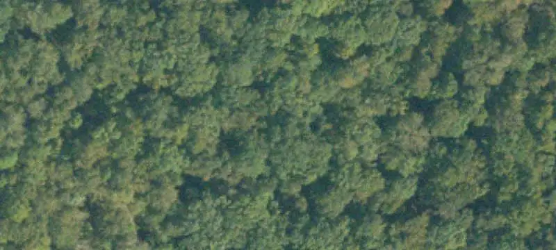 Land / Undeveloped