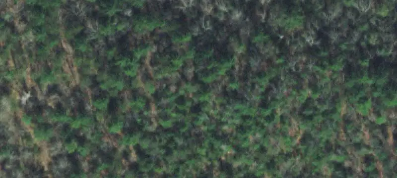 Lots & Acreage