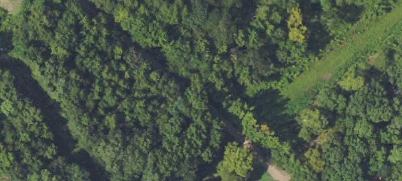 Lot 10 County Road 174, Oakland, MS 38948