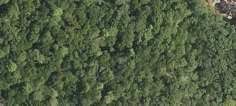 Wooded Land Parcel