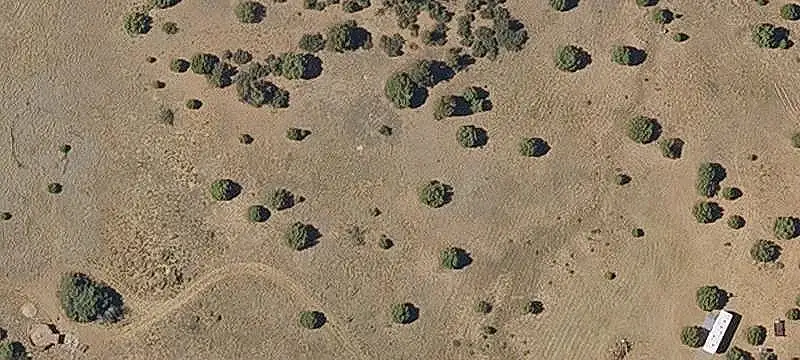Recreation Land with Forest Access