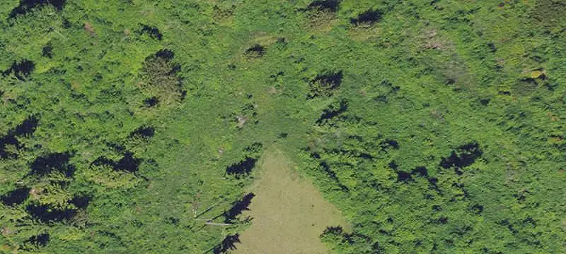Hillside Land with Creek