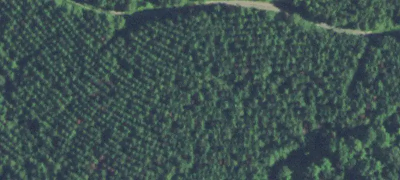 Waterfront Land with River Access