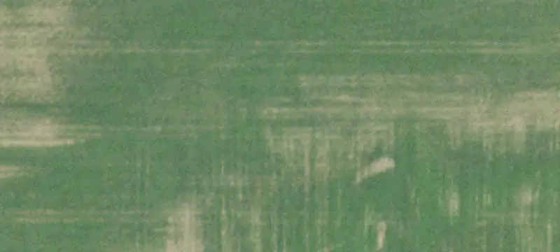 Hunting Land with Tower Blinds