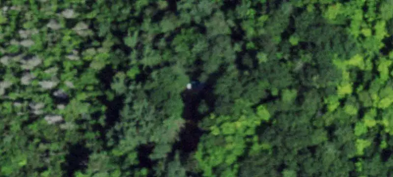 Forested Hunting Land with Road Frontage