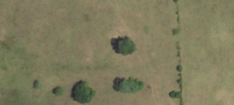 Cross-Fenced Ranch with Ponds