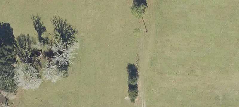 Improved Pasture Ranch