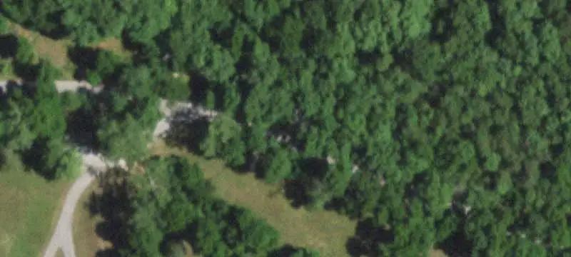 Wooded Recreation Land