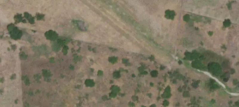Rural Specialty Property