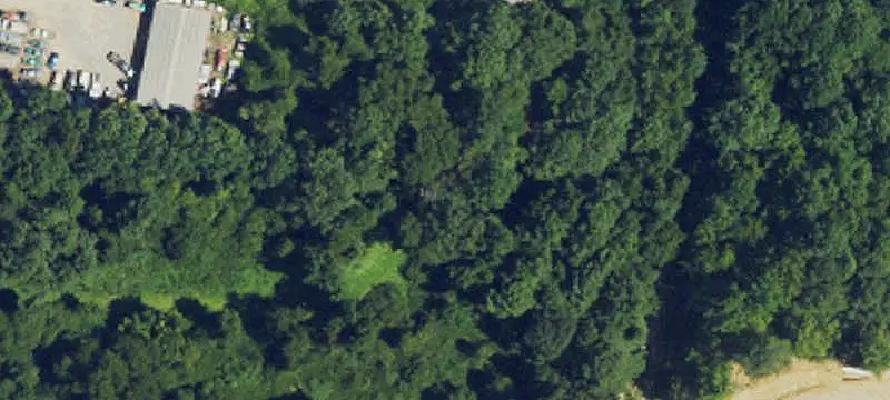 Wooded Commercial Land
