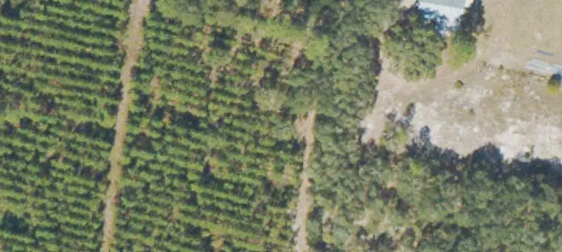 Recreational Land With Cabin