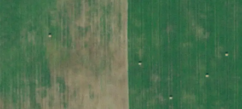 Land