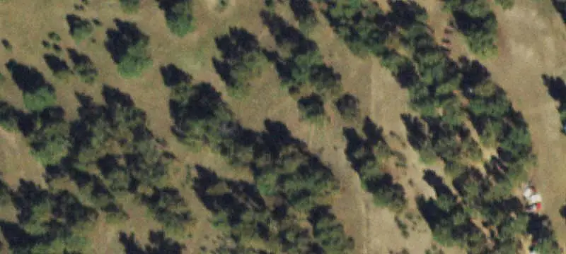 Agricultural Land with Water Rights