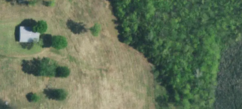 Horse Property with Multiple Dwellings