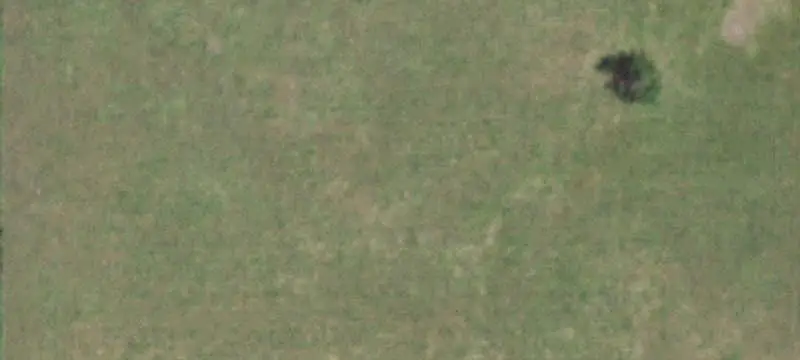 Working Farm with Tillable Ground