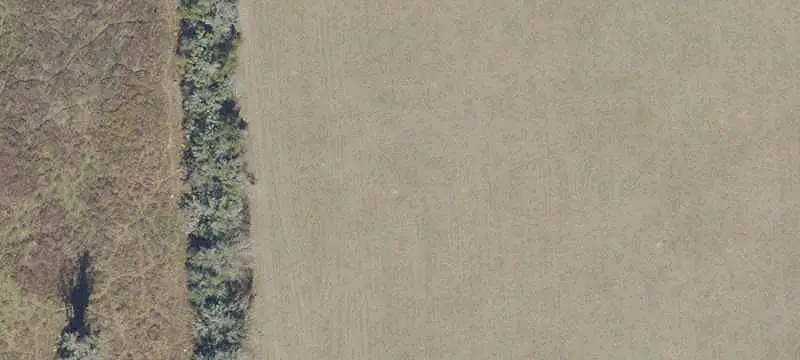 Rolling Agricultural Land