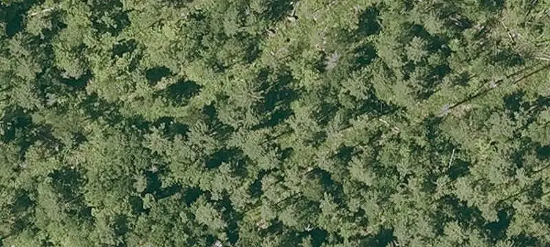 Lots/Land