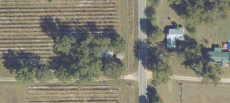 Blueberry Farm With Packing Facility