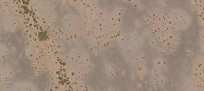 Large-Scale Agricultural Land