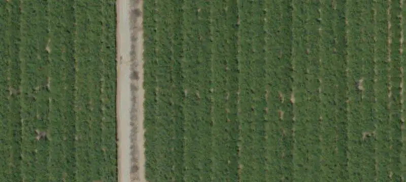 Almond Farm with Open Land