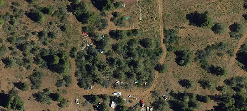 Tree-Covered Land Parcel