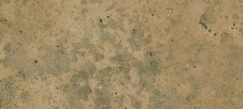 Lots/Land