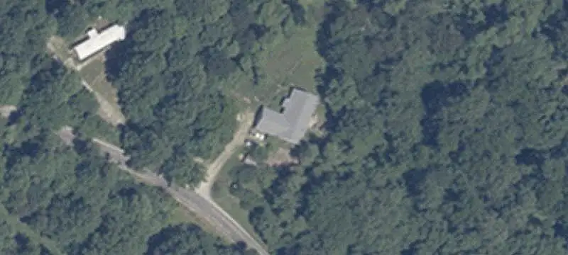 Pine Thicket Hunting Land